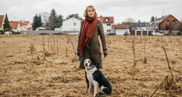 Der Hund Begraben Film Rezensionen De