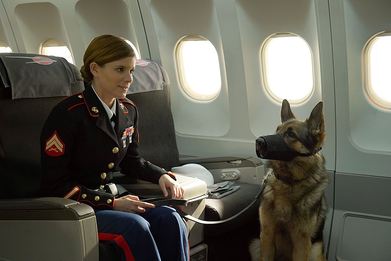 Sergeant Rex - Nicht ohne meinen Hund