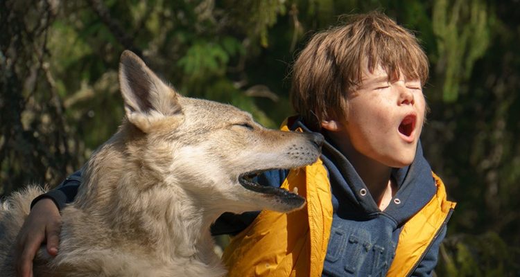 Bruno Bei Den Wolfen Film Rezensionen De