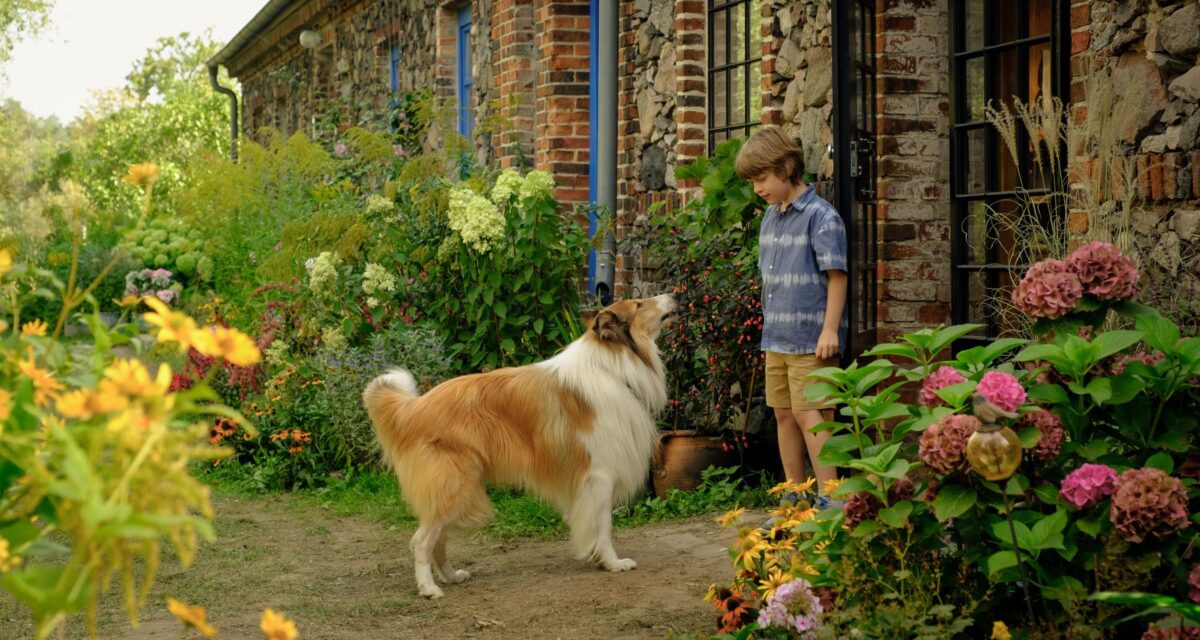 Lassie – Ein Neues Abenteuer Film Rezensionen De