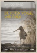 Die toten Vögel sind oben