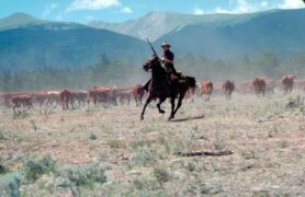 Eine Farm in Montana Aufstand der Aufrechten Comes a Horseman Tv Fernsehen arte Streamen online Mediathek Video on Demand DVD kaufen