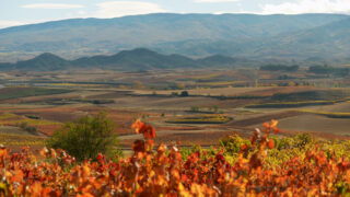 Rioja, la tierra de los mil vinos Das Land der tausend Weine