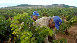 Rioja, la tierra de los mil vinos Das Land der tausend Weine