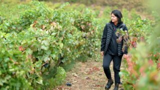 Rioja, la tierra de los mil vinos Das Land der tausend Weine