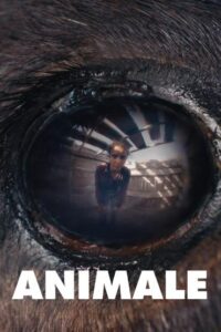 Animale