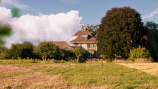 Der Spatz im Kamin